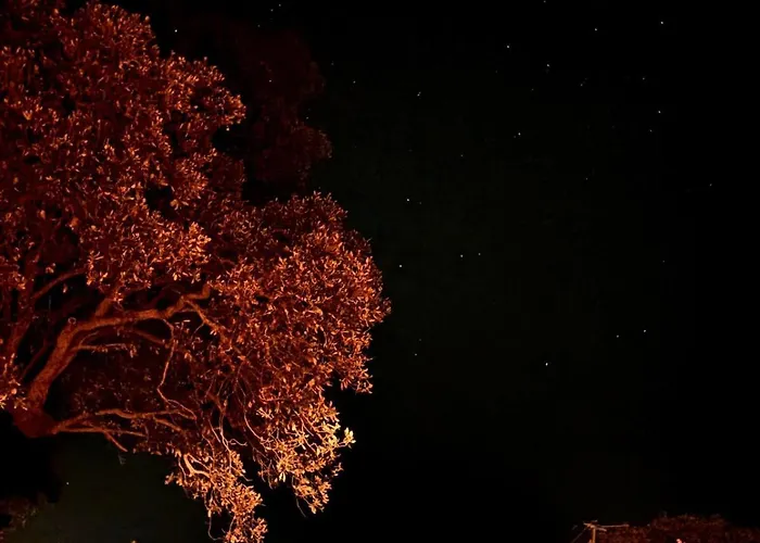 Hébergement de vacances Casa Anpà Maison Vue *