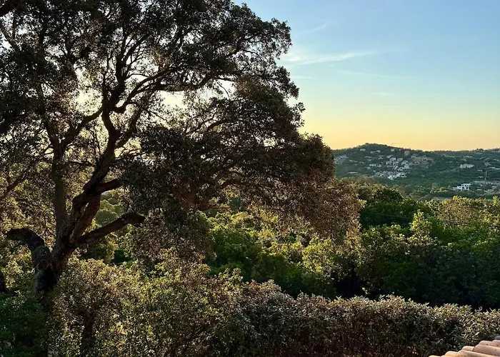 Casa Anpà Maison Vue Hébergement de vacances Lecci